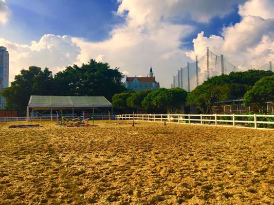 说明: 702135117375218448