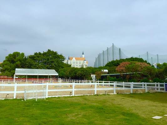 说明: 801035729695493206