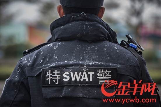 微信图片_20180131111841