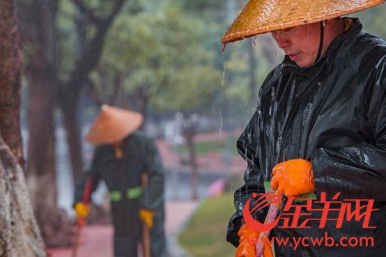 微信图片_20180131111952