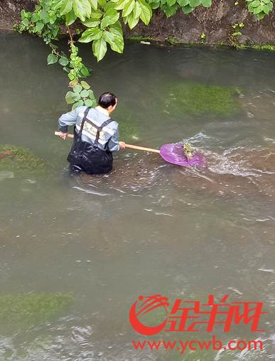 微信图片_20180131112033