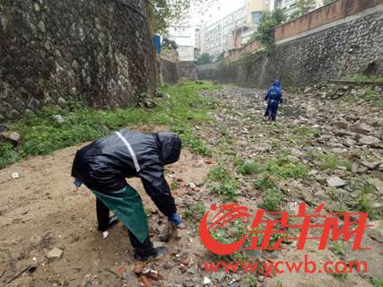 微信图片_20180131112027