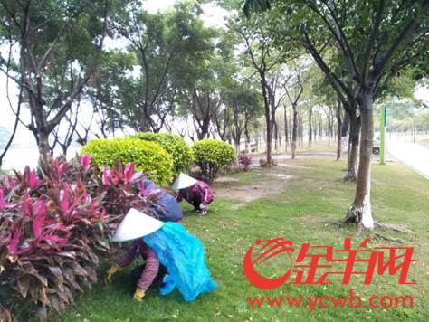 微信图片_20180131112009