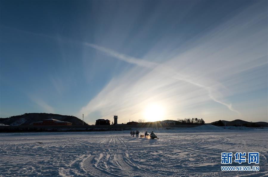 （新春走基层·图文互动）（2）北极哨兵：挺立在风雪中的“北极杨” 