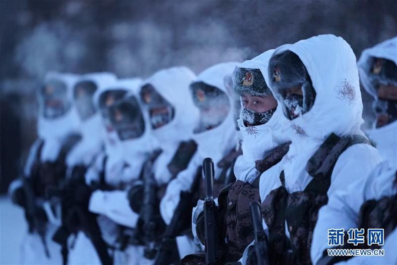 (新春走基层·图文互动)(4)北极哨兵:挺立在风雪中的“北极杨”