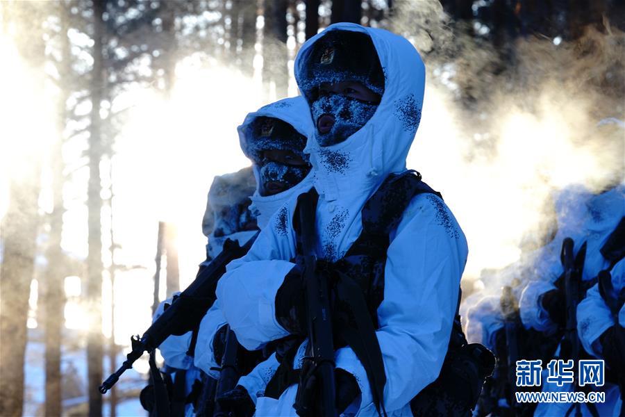 （新春走基层·图文互动）（5）北极哨兵：挺立在风雪中的“北极杨” 