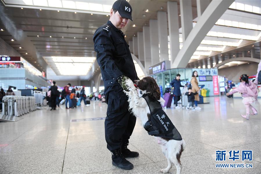 （社会）（4）石家庄：警犬上阵 护航春运