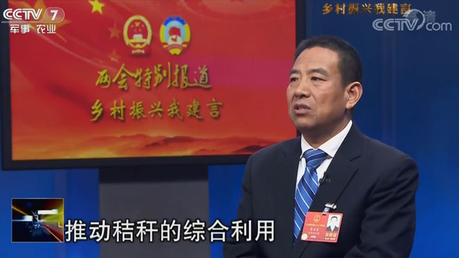 乡村振兴我建言