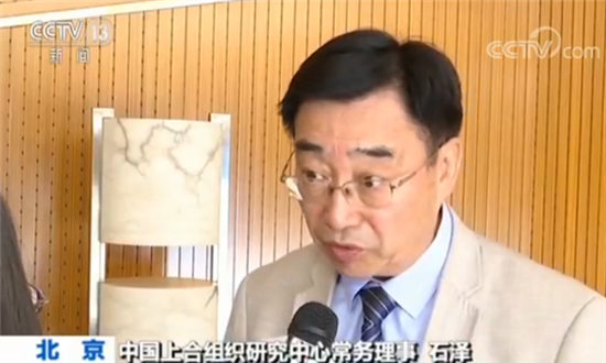 中国上合组织研究中心常务理事石泽