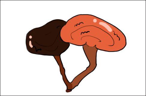 6050051067870820259.jpg