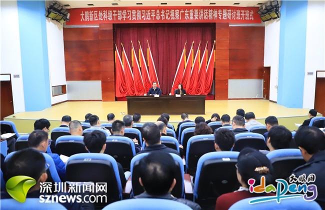 大鹏新区专题学习习近平总书记视察广东重要讲话精神