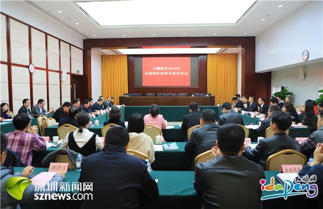 大鹏新区深化改革项目获专家点赞