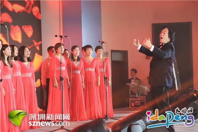 大鹏新区音乐家协会正式成立  推动新区音乐“百花齐放”