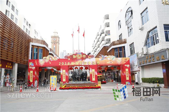 喜大普奔！1月31日深圳将举办2019年迎春花市