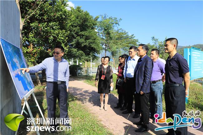 人大代表视察大鹏新区 为新区治水工作点赞