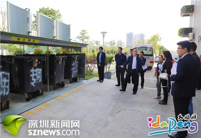 新区邀请“两代表一委员”共同“行走大鹏”