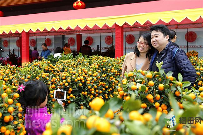 别具一格迎新年 深圳花市将融入公益元素