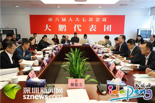 市人大代表殷切建言新区发展