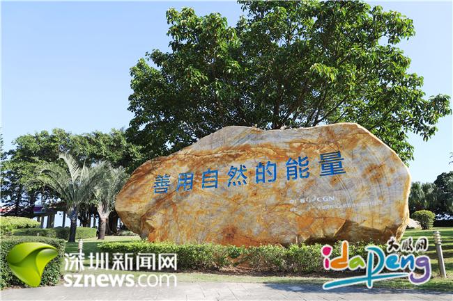 全市首个！大鹏新区率先构建区级应急能力评估体系