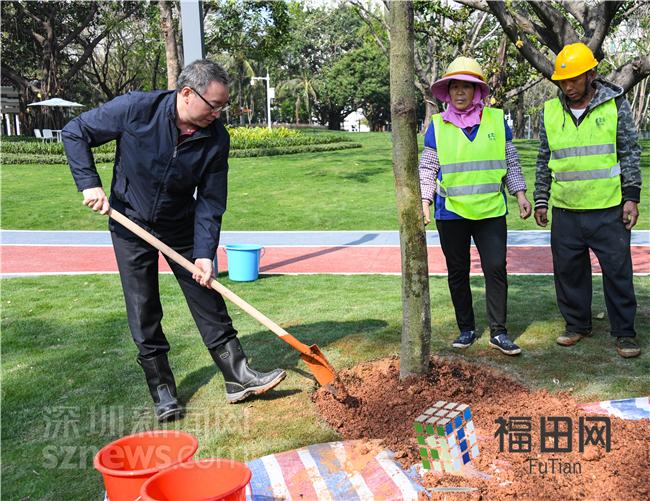 新春植树添新绿 福田区新增立体绿化80000平方米