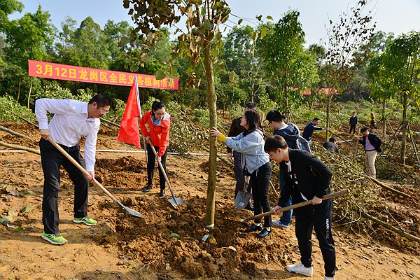 社会团体和市民共15万多人次参加义务植树活动,共种植各类绿化树木约