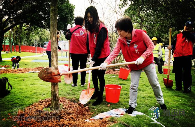“山竹”倒伏树木获重生 16棵紫薇树在景蜜公园生根发芽