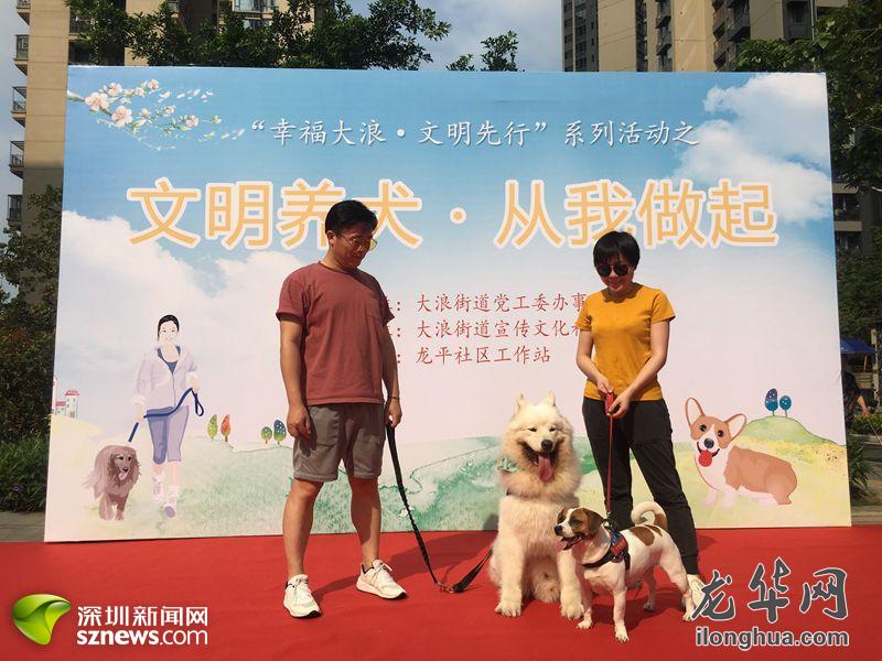 大浪开展文明养犬宣传活动助力文明城市创建