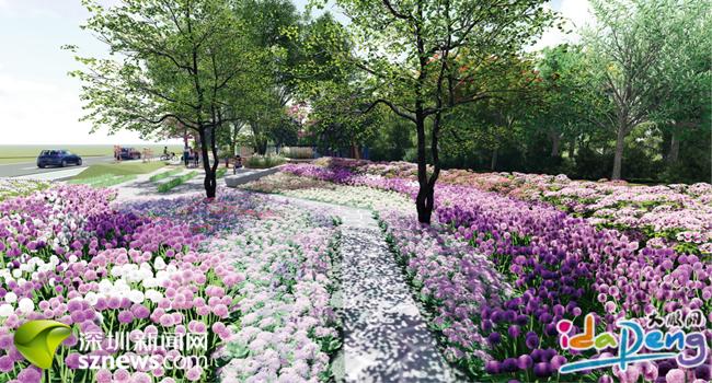 大鹏新区即将新建一条延伸至家门口的城市绿道
