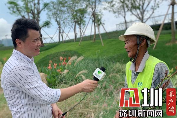 【四力实践】前海园丁谢成生：让前海充满绿色