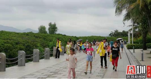 与自然做朋友 社区亲子探索红树林生态奥秘