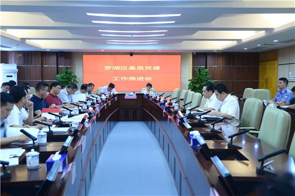 把政治建设摆在首位 罗湖种好基层党建“责任田”