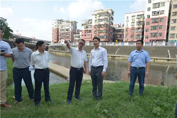 罗湖区区长刘智勇现场调研治水提质工作