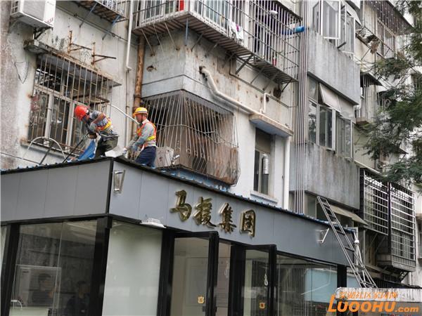 违规征集更新意愿！景贝南业主频遭“马援”骚扰