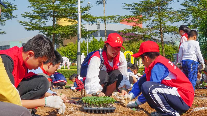 想念那片向日葵花海了吗？别急，市民花田已经安排上了