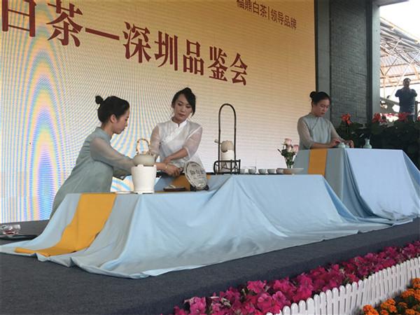 走近白茶文化 百余市民共聚古玩城品茶
