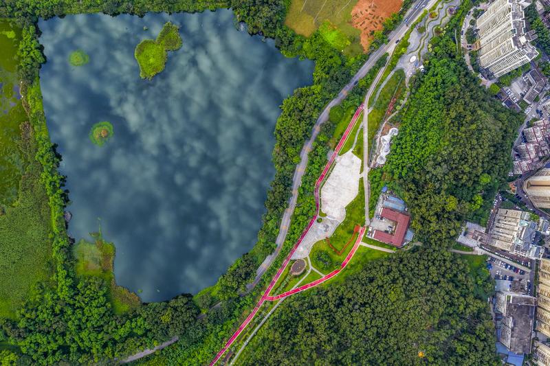 定格城区之美 罗湖绿道摄影大赛作品出炉