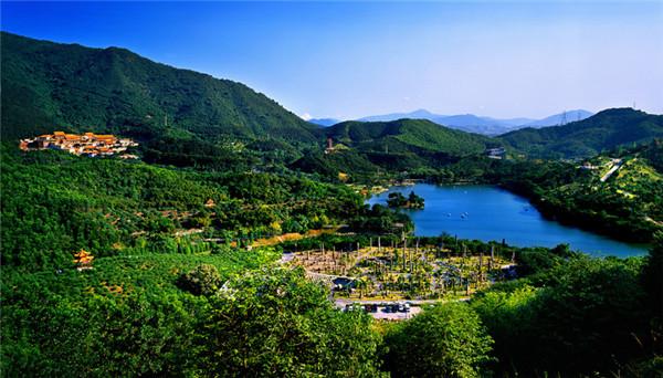 春节期间仙湖植物园和弘法寺实行网上预约