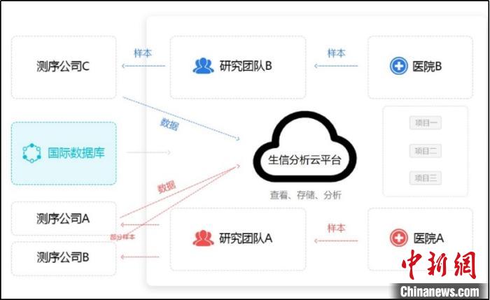 上海金山2020上半年g_上海金山工业区规划图(2)