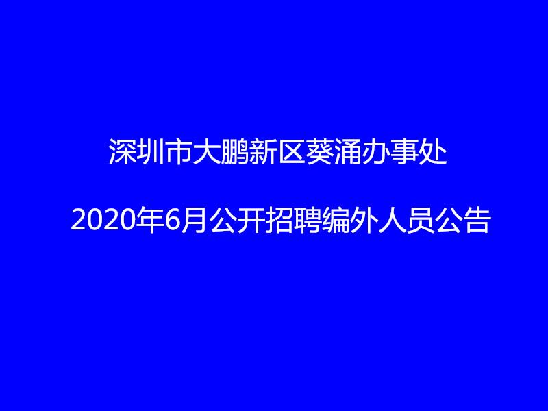 深圳市大鹏新区葵涌办事处2020年6月公开招聘编外人员公告