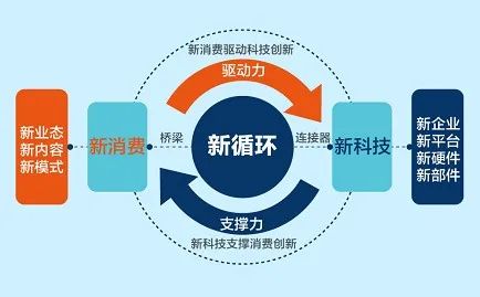 2021深圳市gdp(3)