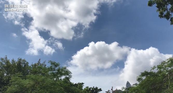 IN视频|今日深圳6月29日：盛夏林荫，天空之景