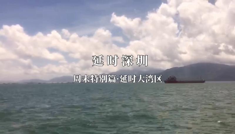 IN视频|今日深圳7月11日：趁周末，去大湾区乘风破浪