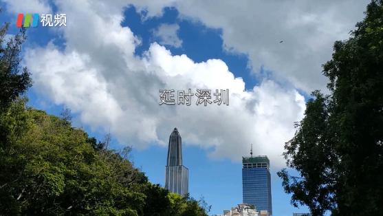 IN视频|今日深圳6月18日：也许是你错过的夏日晴空