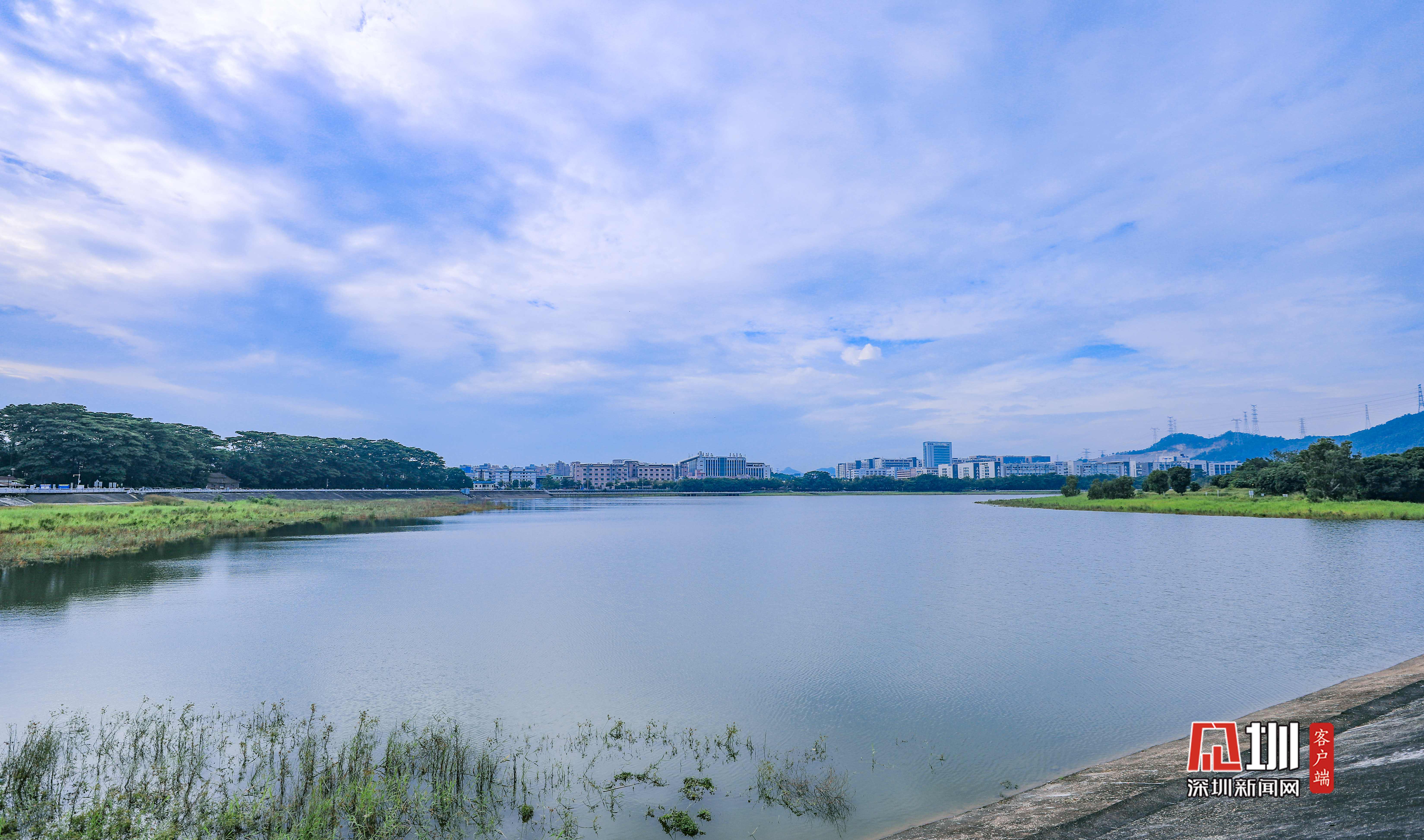 武汉东湖绿道风光高清图片下载-正版图片500885787-摄图网