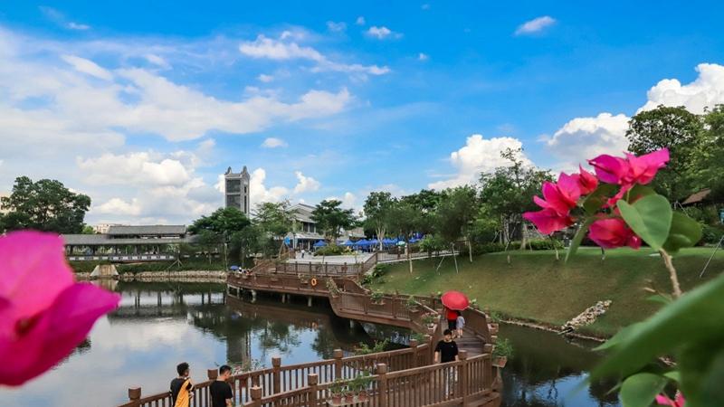 《我的宝安蓝朋友》获2020年“深圳年度融媒体优秀传播范例”荣誉称号