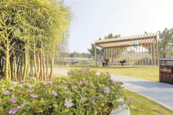 深圳龙岗福城街道建成16个“口袋公园”