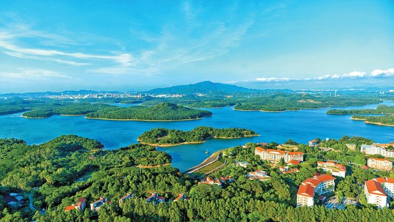 筑巢引凤谋发展 百尺竿头再蓄力