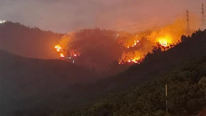 深新早点丨大南山山火已被扑灭，无人员伤亡，无重要设施受影响