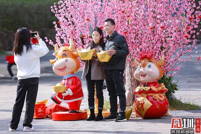 春节期间 东部华侨城成市民游客休闲度假热门打卡地