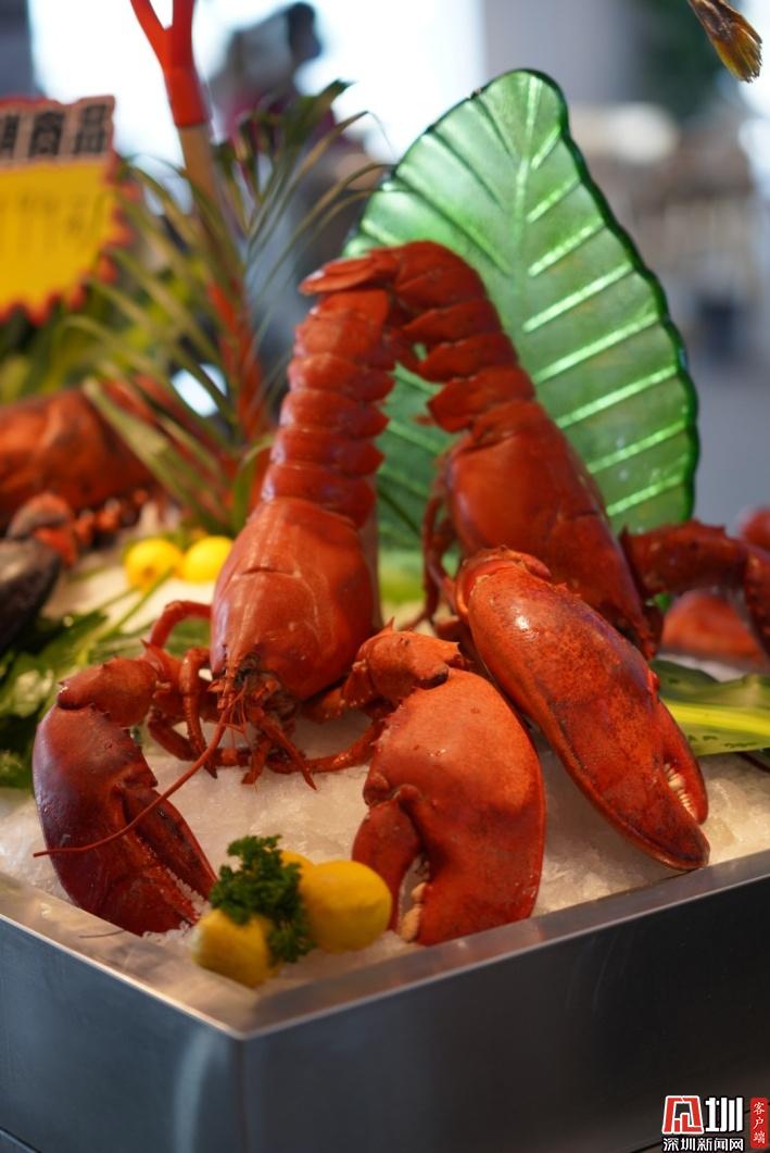 大连国际龙虾节嗨翻五月 让食客“过足瘾”